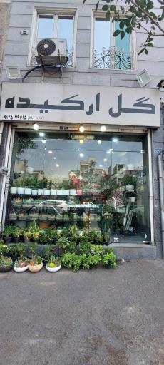 عکس گل فروشی ارکیده