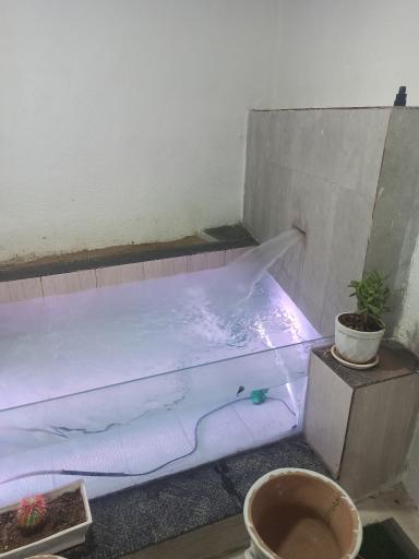 عکس رستوران سلامی