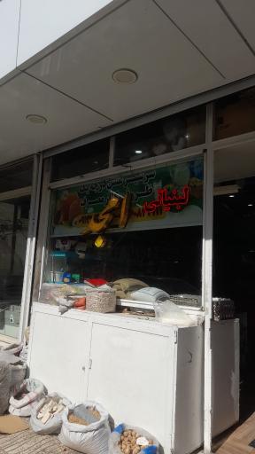 عکس لبنیاتی امجد