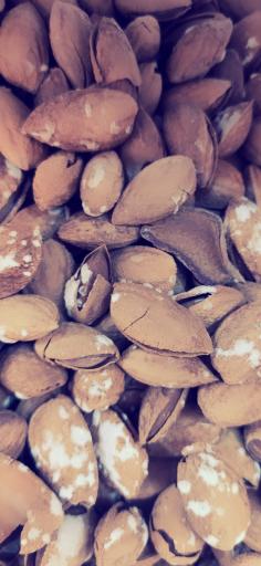 عکس اجیل و خشکبار رسپینا