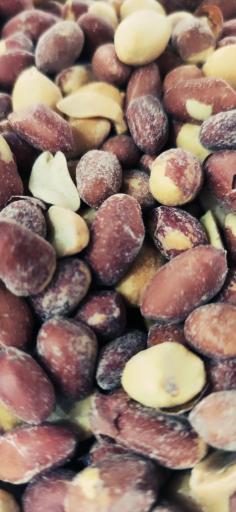 عکس اجیل و خشکبار رسپینا