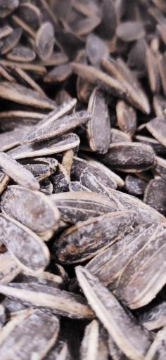 عکس اجیل و خشکبار رسپینا