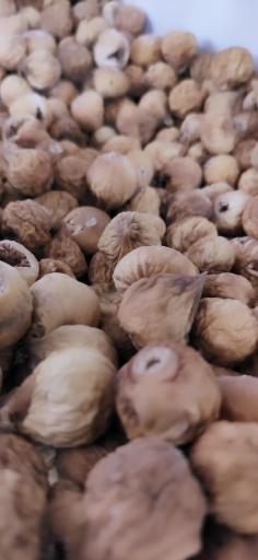 عکس اجیل و خشکبار رسپینا