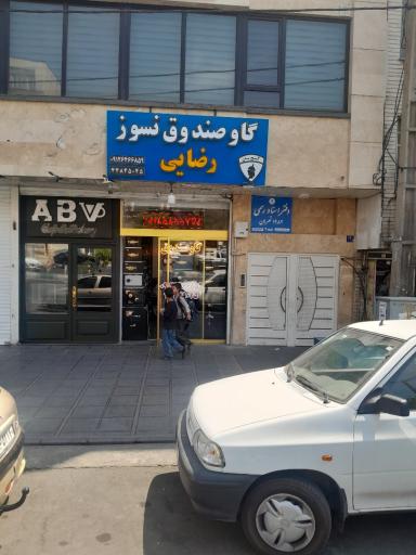 عکس گاو صندوق رضایی