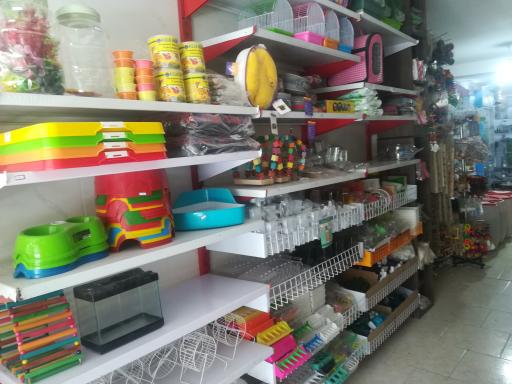 عکس پرنده فروشی گلدین شاپ