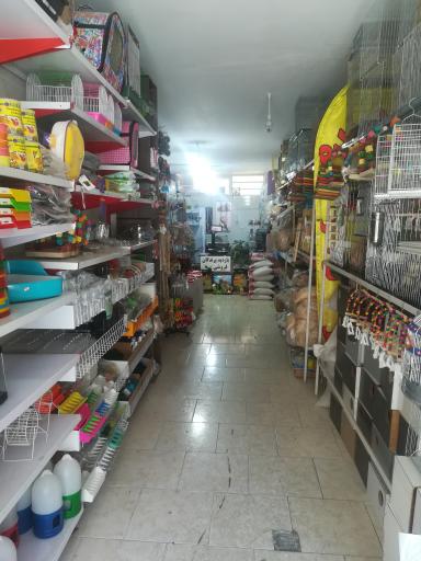 عکس پرنده فروشی گلدین شاپ