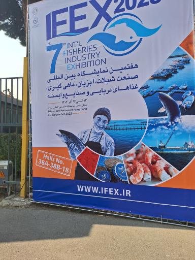 عکس سالن ۳۸