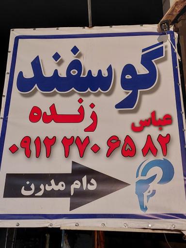 عکس دام مدرن حاج عباس