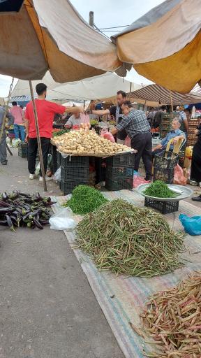 عکس پنجشنبه بازار شاقاجی