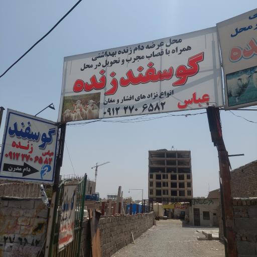 عکس دام مدرن حاج عباس