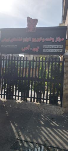 عکس پخش و تهیه غذای پی اس P.S