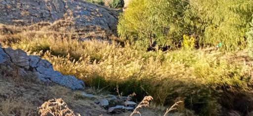 عکس چشمه دره‌ی معین