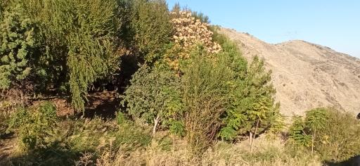 عکس چشمه دره‌ی معین