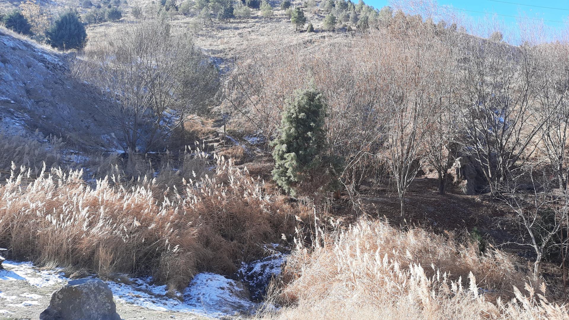 عکس چشمه دره‌ی معین