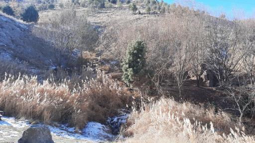 عکس چشمه دره‌ی معین