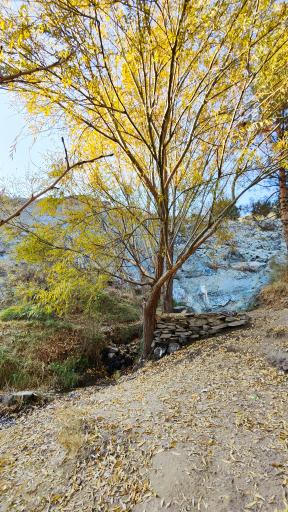 عکس چشمه دره‌ی معین