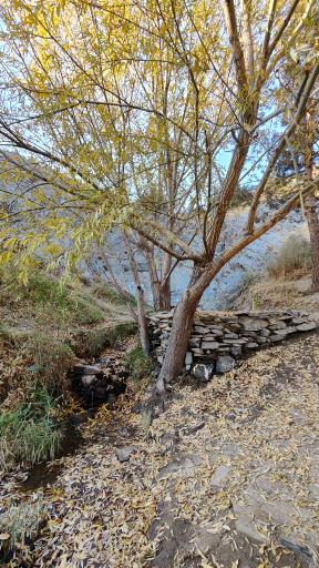 عکس چشمه دره‌ی معین