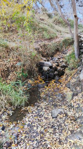 عکس چشمه دره‌ی معین