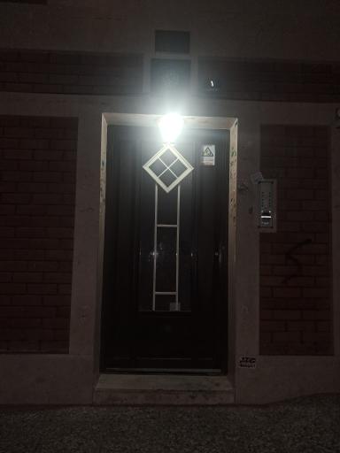 عکس مزون شوگار