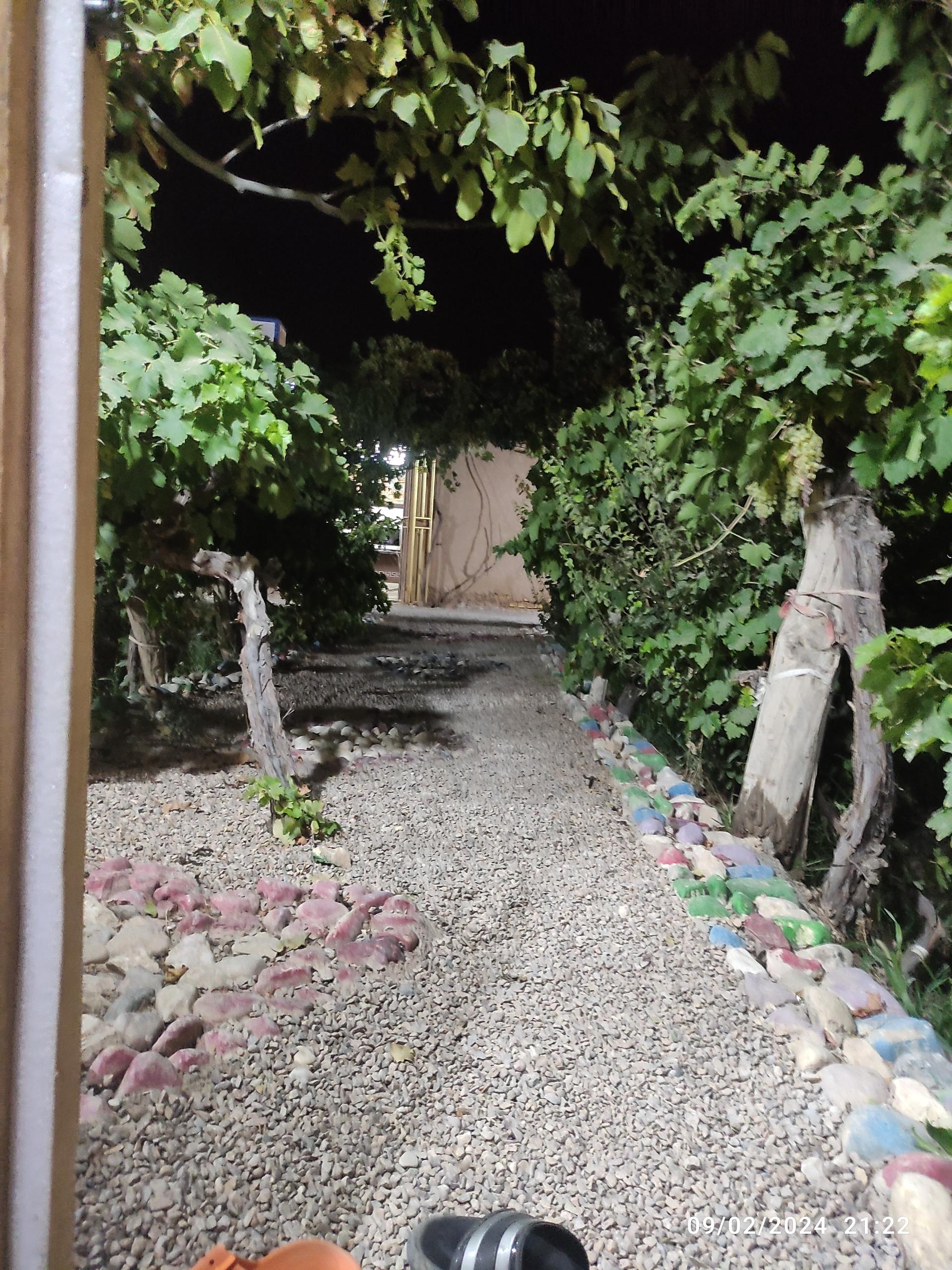 عکس سفره خانه باغ پدری