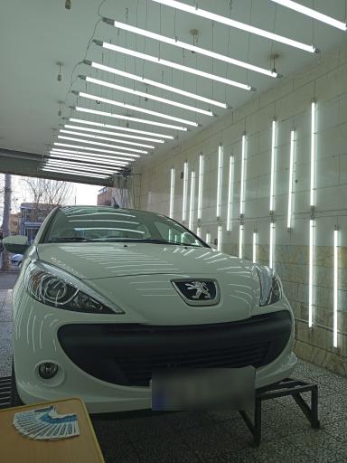 عکس تشخیص رنگ پاسارگاد