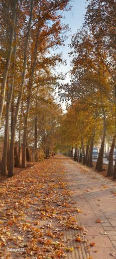 عکس نظرآباد