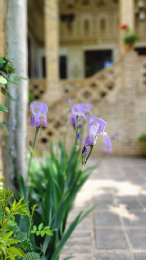عکس اقامتگاه بومگردی کُهندِژ رادکان