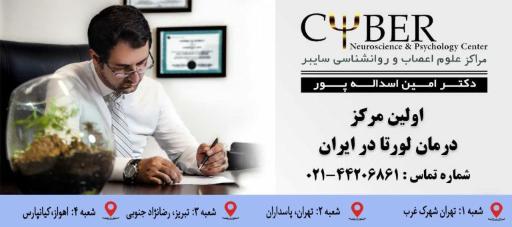 مرکز سایبر لورتا نوروفیدبک