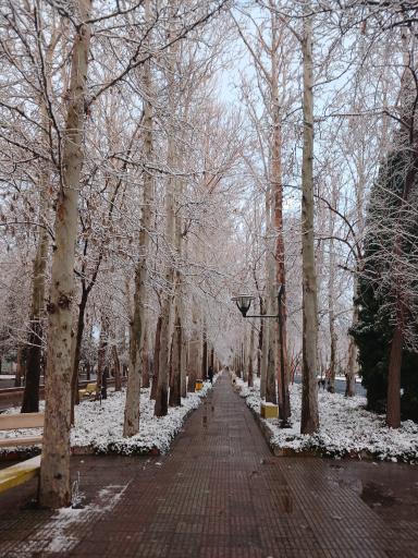 عکس نظرآباد