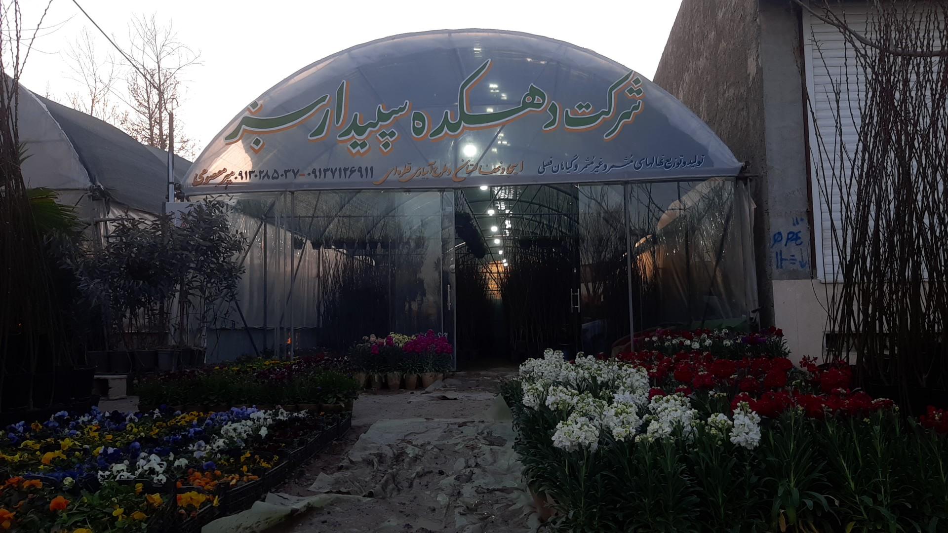 عکس شرکت دهکده سپیدار سبز