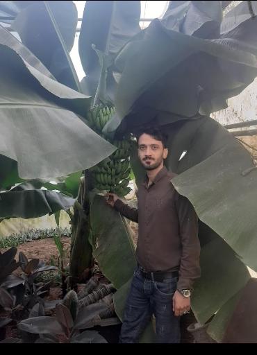 عکس شرکت دهکده سپیدار سبز