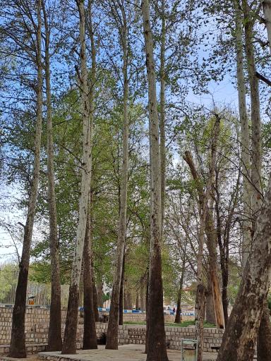 عکس چشمه برم لردگان