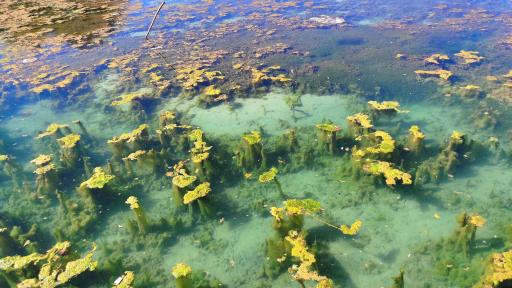 عکس چشمه برم لردگان