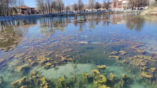 عکس چشمه برم لردگان