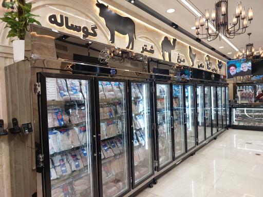 عکس پروتئینی احسان