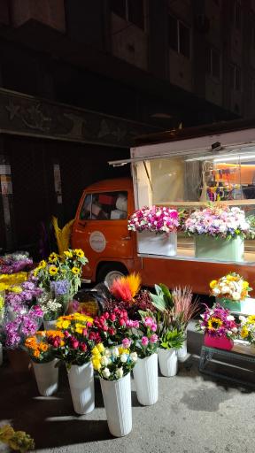 عکس گل فروشی رزلند