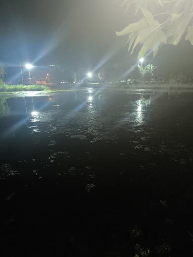 عکس چشمه برم لردگان
