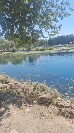 عکس چشمه برم لردگان