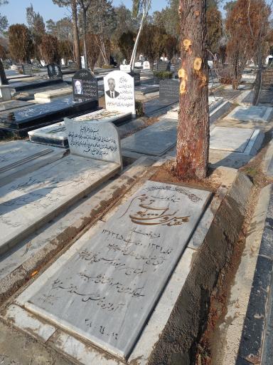 عکس مزار ولی اله پوتی