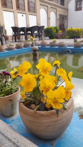 عکس رستوران فست فود و کافی شاپ  عمارت تاریخی مصری