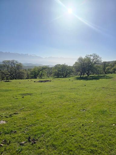 عکس یاسوج