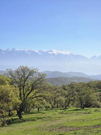عکس یاسوج