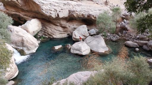 عکس یاسوج