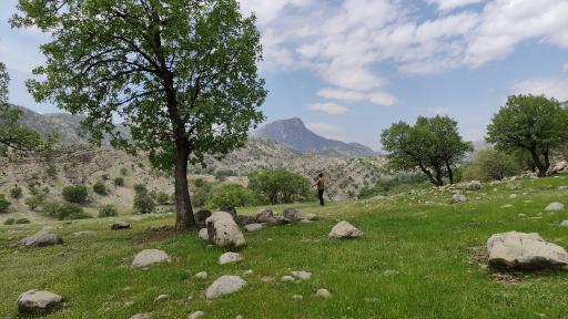 عکس یاسوج