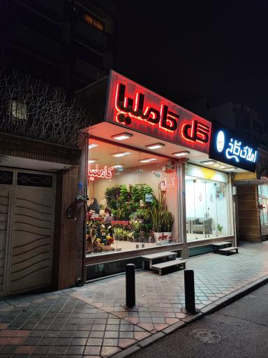 عکس گل فروشی کاملیا