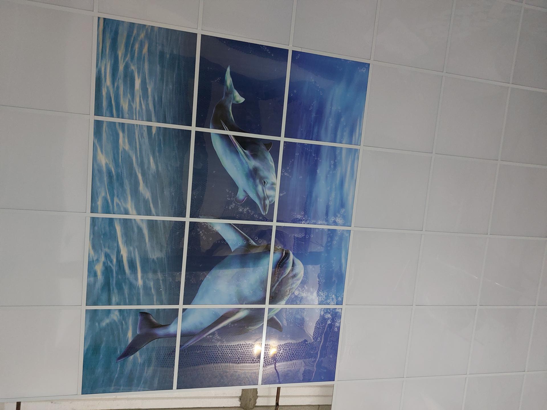 عکس کرکره برقی و کامپوزیت محمدی