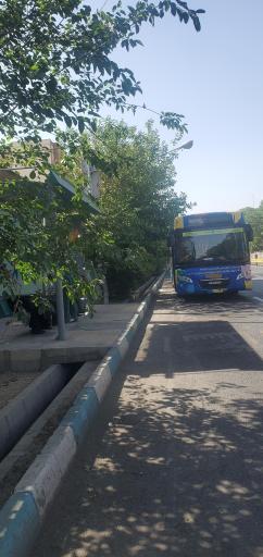 عکس قالیشوئی