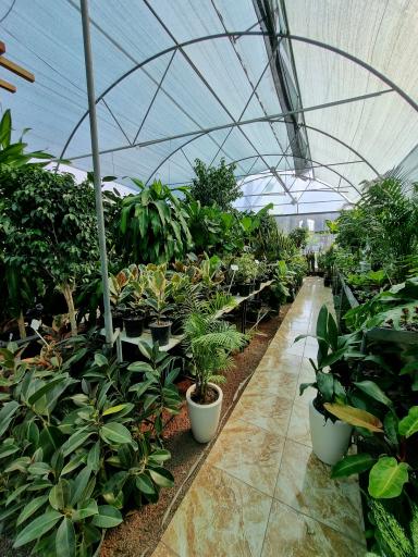 عکس گلخانه لوتوس