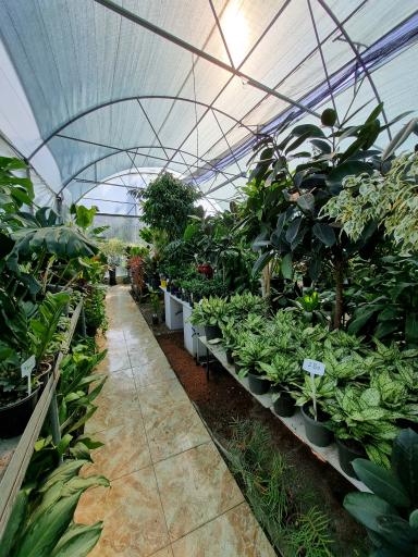 عکس گلخانه لوتوس