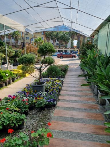 عکس گلخانه لوتوس